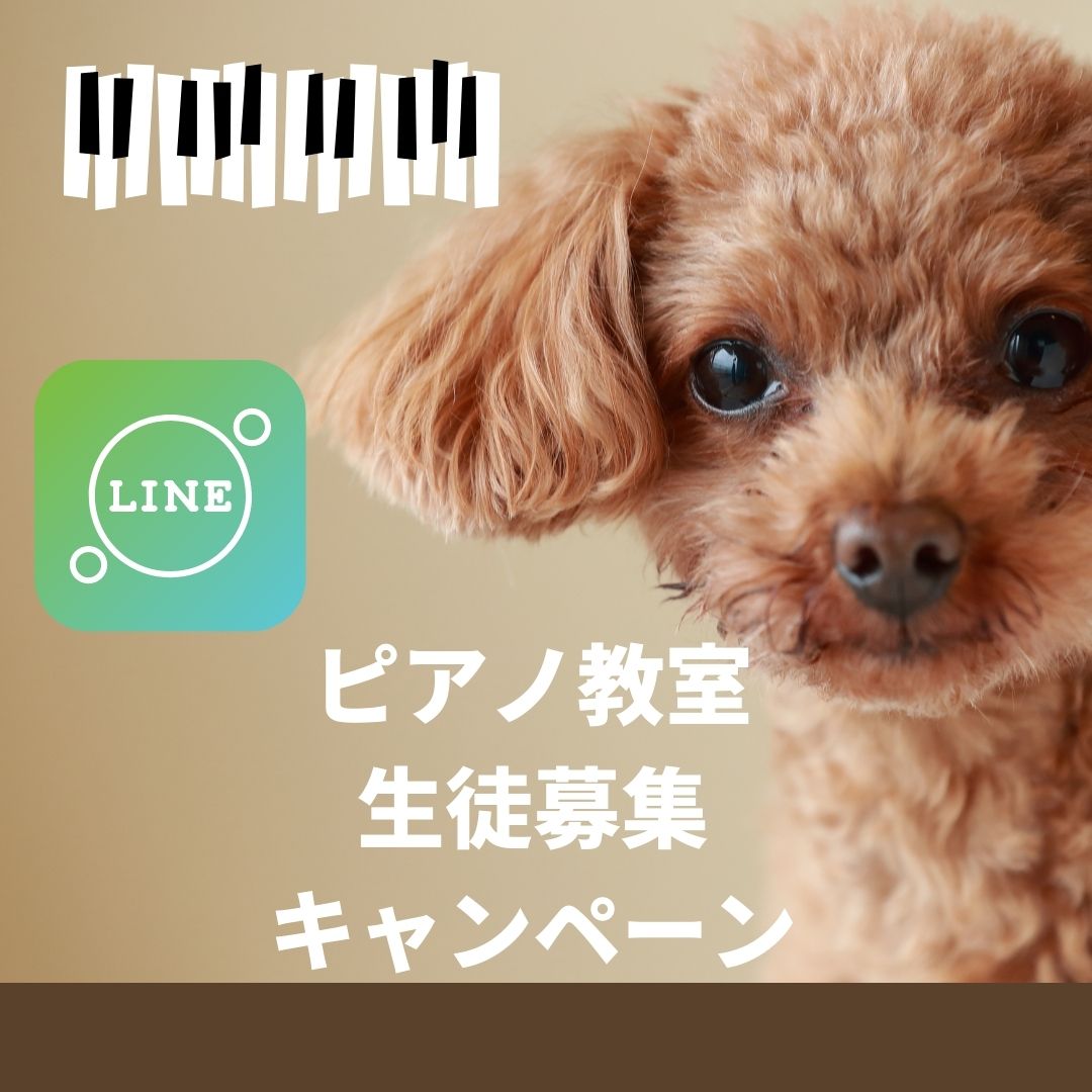 芸術の秋、はじまりました。本を読むように、音楽を奏でてみませんか?ピアノ、気軽に始められますよ♪