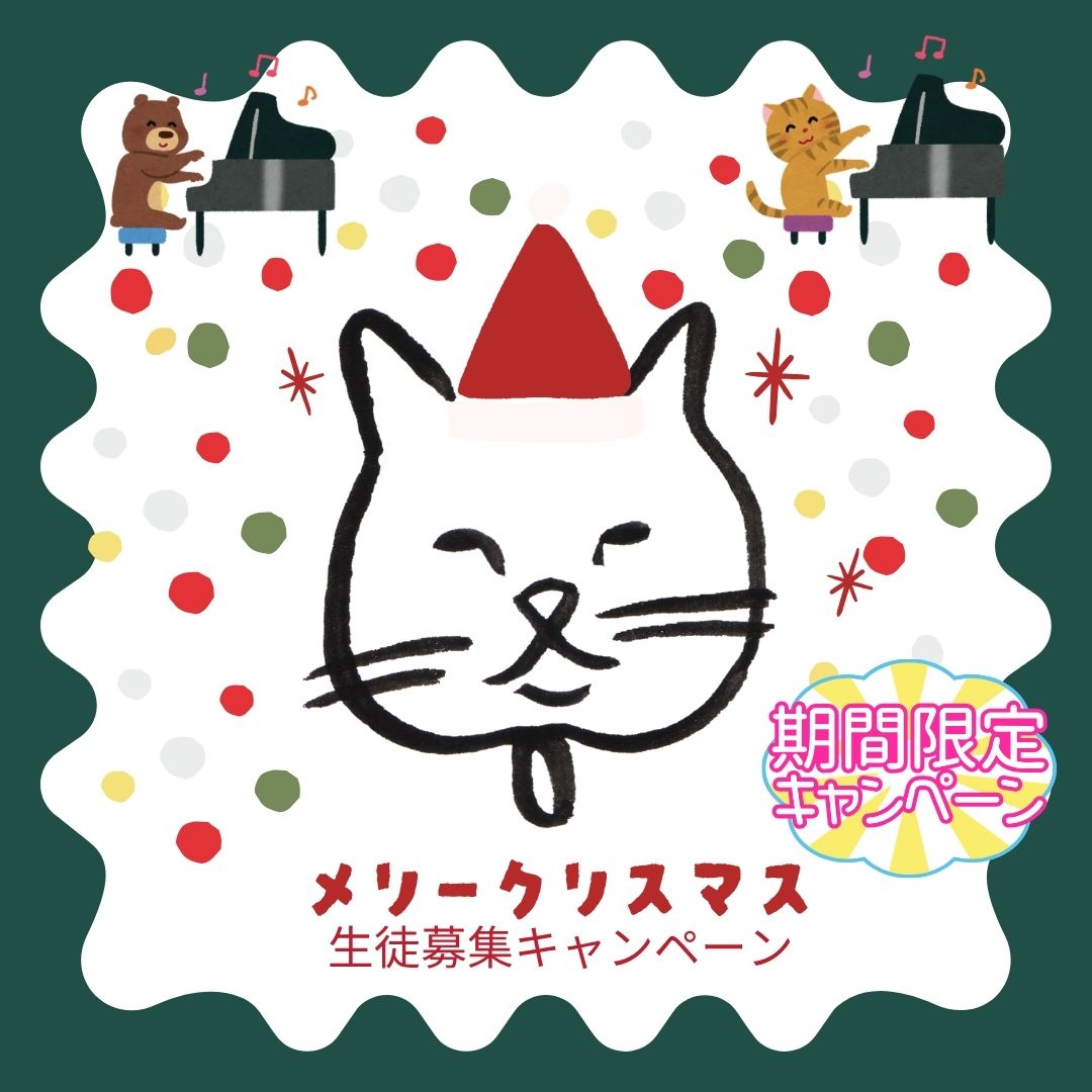 ツリーが点灯しました🎄