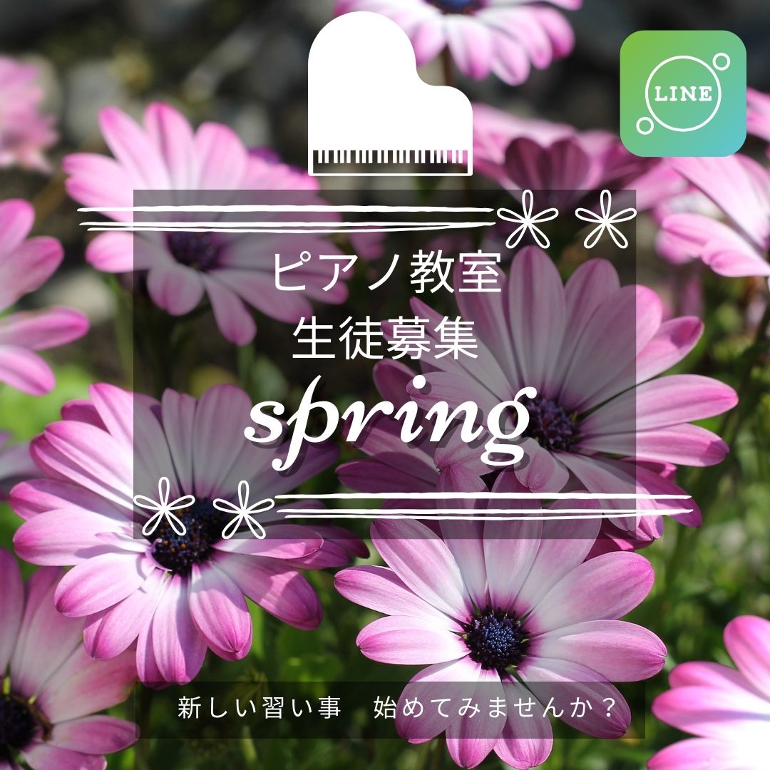 桜のように、はじめの一歩をそっと応援します。春のキャンペーンで、あなたの“好き”を大切にしたレッスンを♪